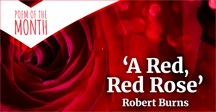 a red, red rose by robert burns